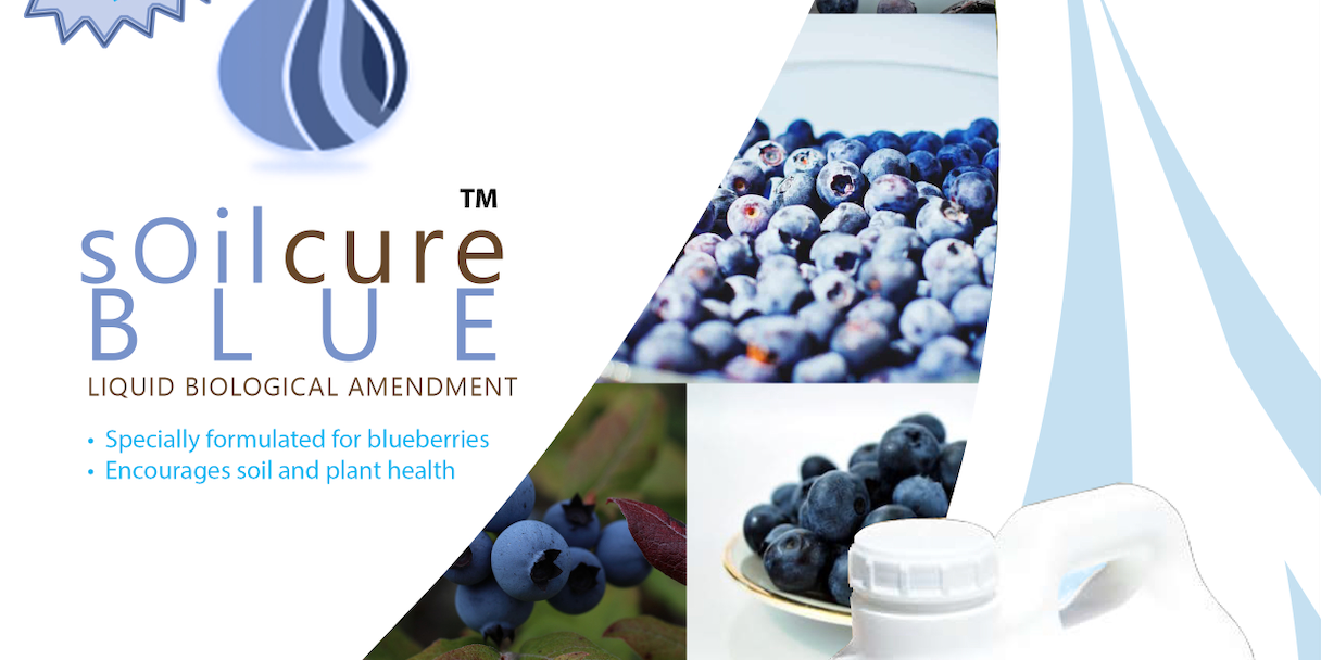 SoilCure Blue 450 px