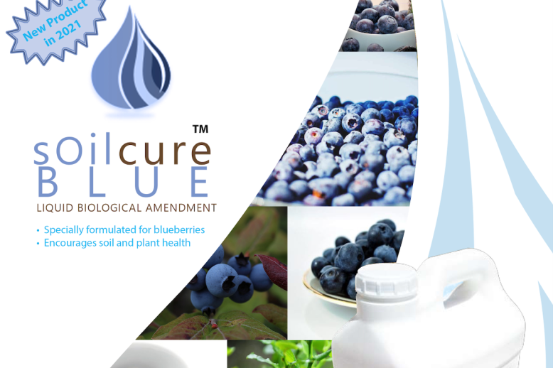 SoilCure Blue 450 px