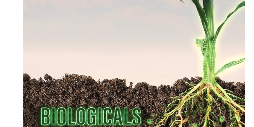 AGWeb Biologicals Race