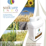 SoilCure ENDO TechSheet SoilCure-ENDO-Techsheet