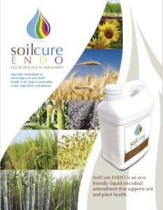 SoilCure ENDO TechSheet SoilCure-ENDO-Techsheet