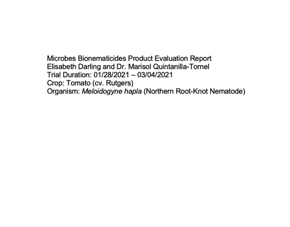 Product Evaluation Report