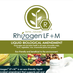 Rhizogen LF+M