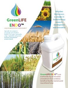 GreenLIFE ENDO Brochure P1(1)