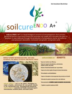 soilcure ENDO A+ Techsheet page
